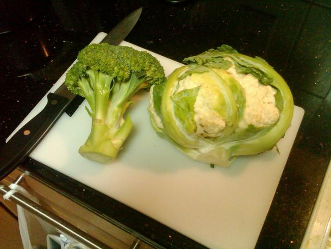 IMG00355-20100615-1859.jpg